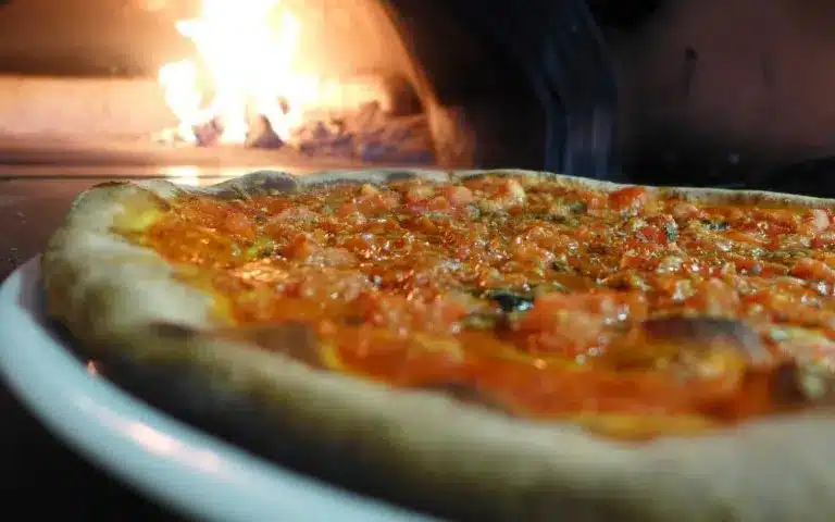 Pizzaovn Test 2026 → Se De 4 Bedste Pizzaovne