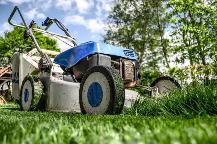 Plæneklipper Test 2026 → Se De 3 Bedste Plæneklippere