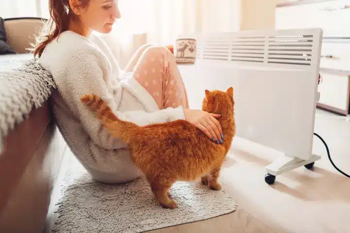 Elradiator Bedst i Test 2026 → De 4 Bedste Elradiatorer
