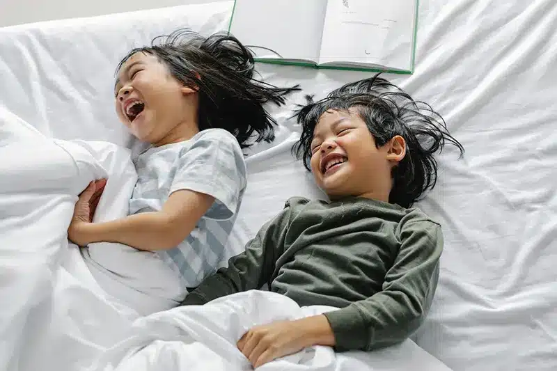 Kapok Dyne Test 2026 → De 2 Bedste Kapok Dyner