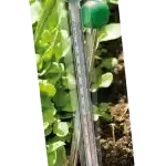 Jordtermometer